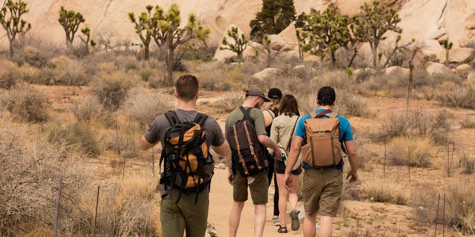 Guided Apprenticeship